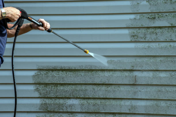 Professional Pressure Washing in Battlement Mesa, CO